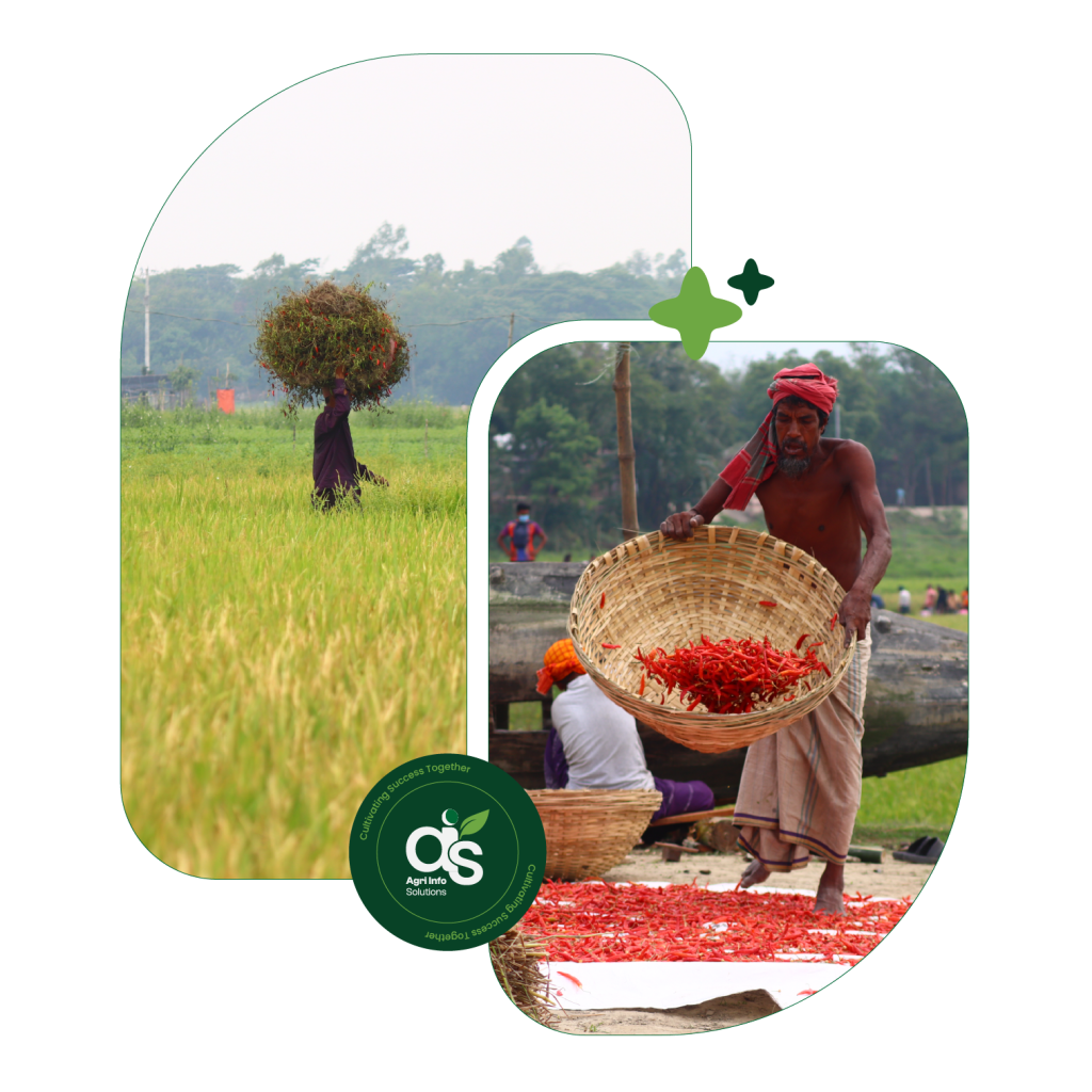 Agri Info Solutions Image 1